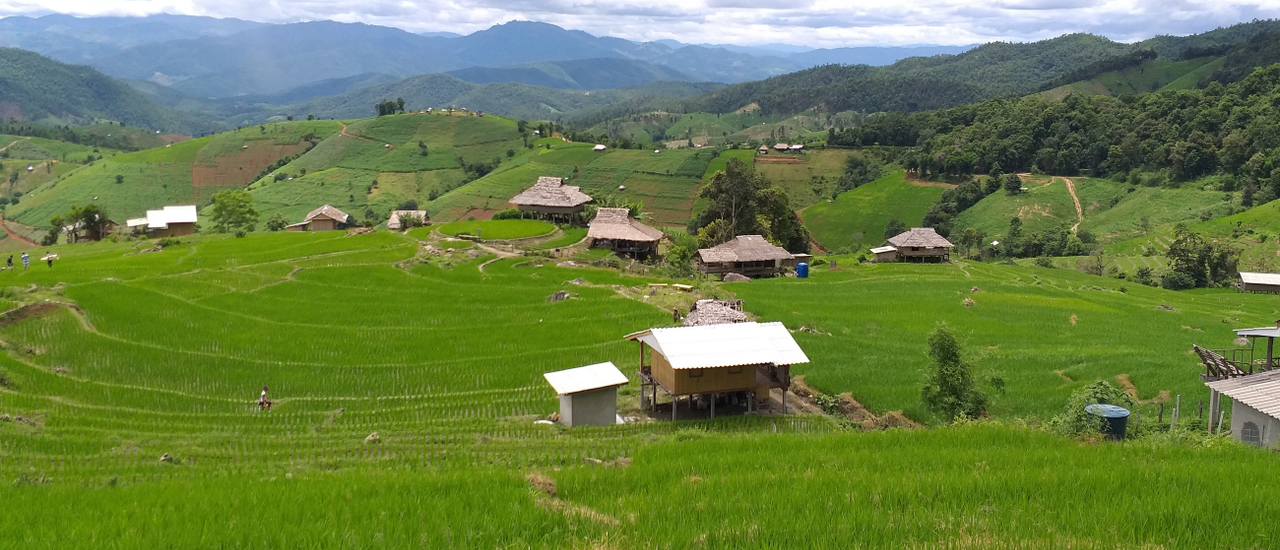 cover นาขั้นบันได บ้านป่าบงเปียง แม่แจ่ม แจ่มสุดๆ มีคลิป ^^