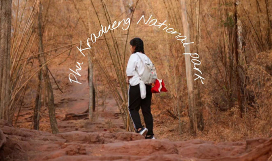 Cover ภูกระดึง ( ครั้งนึงควรพอมั๊ย)...