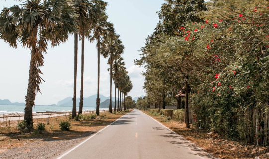 Cover ที่นี้เรียกว่า "ปราณบุรี" หรือ "ไมอามี่"...