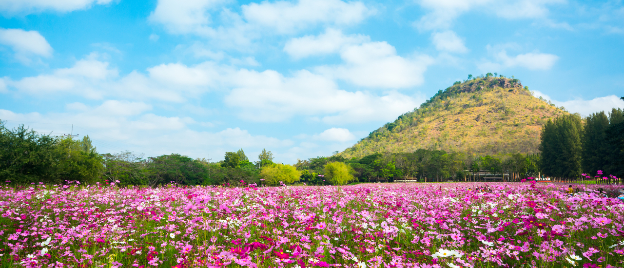 cover จิมทอมป์สันฟาร์ม ชมความงามของธรรมชาติใกล้กรุง