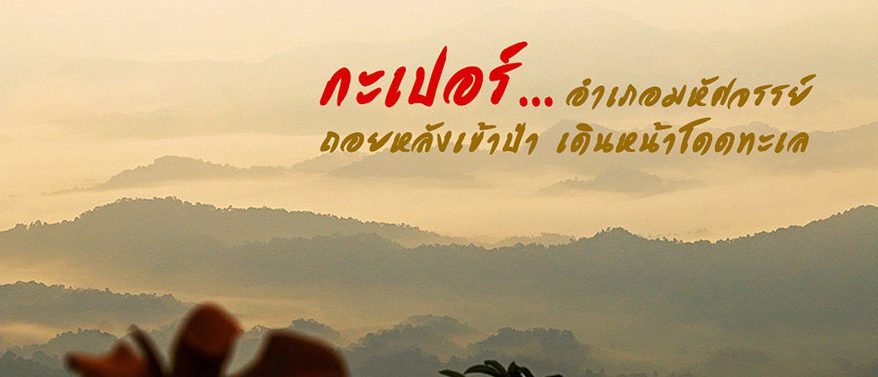 cover กะเปอร์ อำเภอมหัศจรรย์ : ถอยหลังเข้าป่า เดินหน้าโดดทะเล