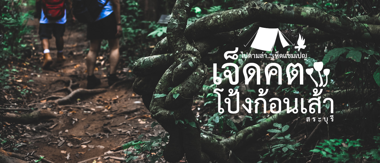 cover กางเต็นท์ ไปตามล่า...เห็ดแชมเปญ ที่เจ็ดคต-โป้งก้อนเส้า สระบุรี