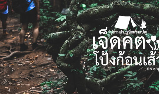 Cover กางเต็นท์ ไปตามล่า...เห็ดแชมเปญ ที่เจ็ดคต-โป้งก้อนเส้า สระบุรี...