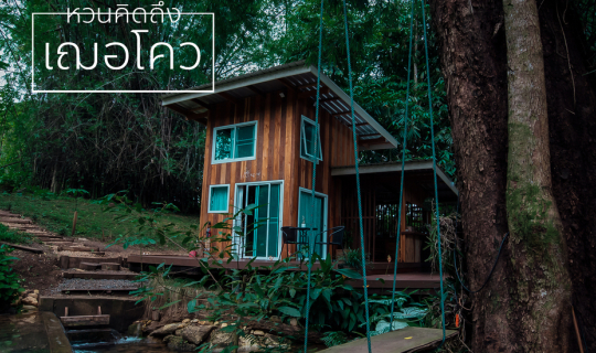 cover เฌอโคว at หม่องกะลา บ้านหลังน้อยกลางป่าใหญ่