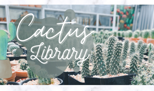 Cover Cactus Library ซ.สุคนธสวัสดิ์ 11 ไปช้อปน้องแคคตัสกัน!...