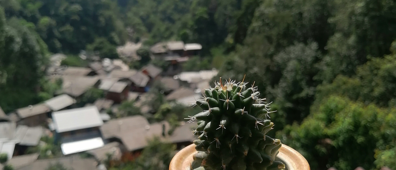 cover เที่ยวเชียงใหม่ ไปกี่ครั้งก็ยังใหม่เสมอ