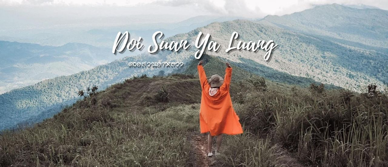 cover ดอยสวนยาหลวง เช็คอินปัว กาแฟบ้านไทลื้อ น่าน