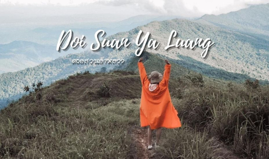 Cover ดอยสวนยาหลวง เช็คอินปัว กาแฟบ้านไทลื้อ น่าน...