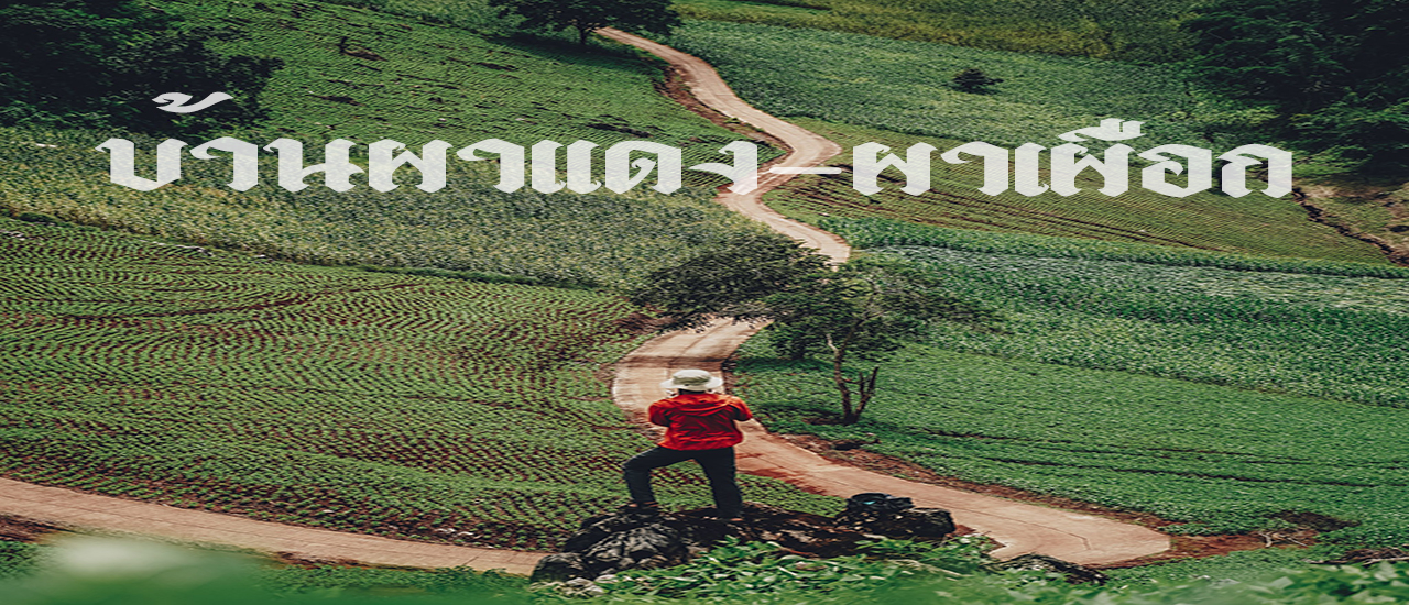 cover รีวิว หมู่บ้านเล็กๆท่ามกลางหุบเขา ที่เงียบสงบ บ้านผาแดง - ผาเผือก อ.ปางมะผ้า จ. แม่ฮ่องสอน