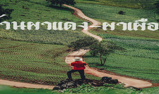 Cover รีวิว หมู่บ้านเล็กๆท่ามกลางหุบเขา ที่เงียบสงบ บ้านผาแดง - ผาเผือก อ....