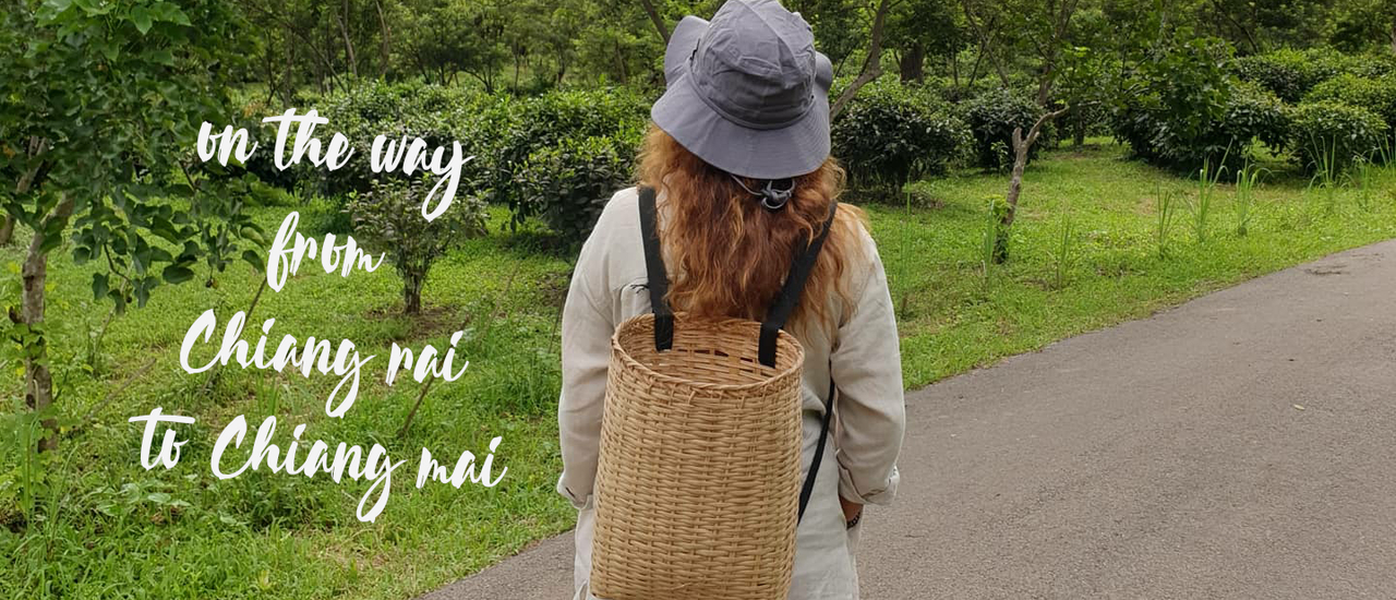 cover On the way from Chiang rai to Chiang mai