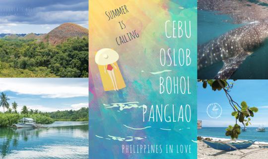 Cover แชร์ข้อมูลเที่ยว Oslob (Cebu) Panglao Bohol ว่ายน้ำกับฉลามวาฬ ข้อมูล...