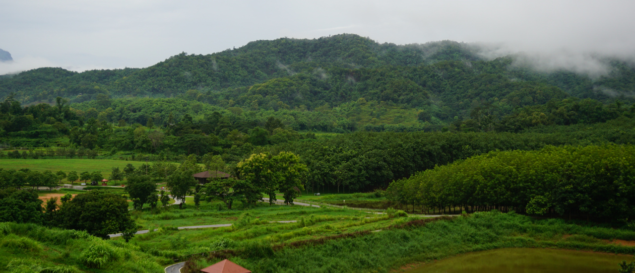 cover ทริปขับรถ จากกรุงเทพ สู่เชียงราย 787 กิโล ขับรถเรื่อย ๆ เหนื่อยก็พัก ลัดเลาะ แวะทานข้าวตามจังหวัดต่าง ๆ