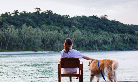 cover พาคนที่รักกับหมาที่รักไปทะเล @ Captain Hook Resort