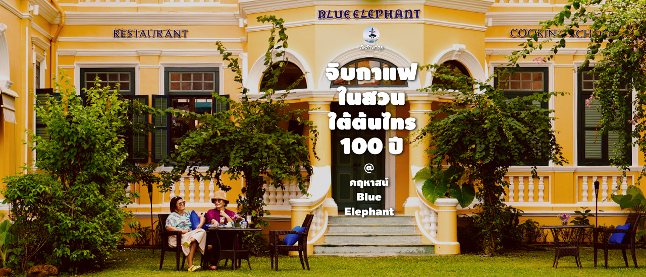 cover เปิดคฤหาสน์ Blue elephant : จิบกาแฟในสวนใต้ต้นไทร 100 ปี