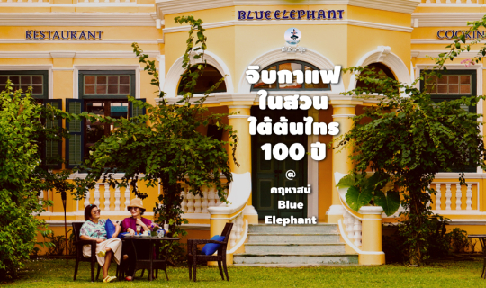 cover เปิดคฤหาสน์ Blue elephant : จิบกาแฟในสวนใต้ต้นไทร 100 ปี