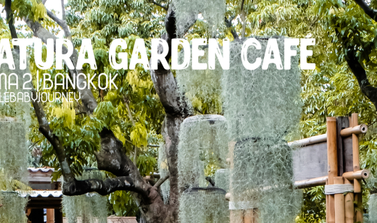 Cover คาเฟ่ไม้ไผ่ฟีลป่าสุดแสนจะธรรมชาติ ได้ตั้งตัวอยู่อย่างลึกลับย่านพระรา...