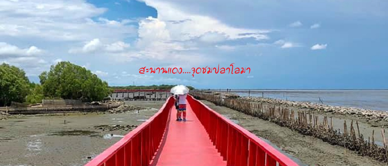 cover วันเดย์ทริป @สะพานแดง สมุทรสาคร