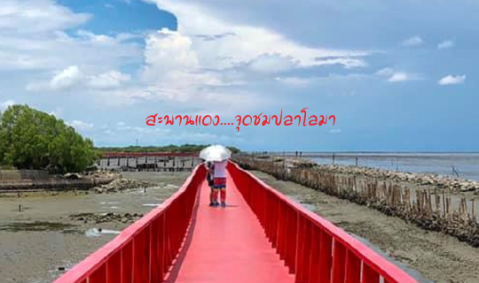 cover วันเดย์ทริป @สะพานแดง สมุทรสาคร