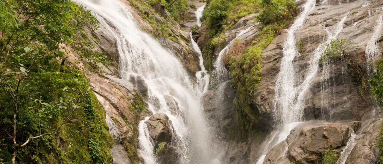 cover "น้ำตกเปรโต๊ะลอซู" เดินป่าหน้าฝน / คนละ 1930 บาท !