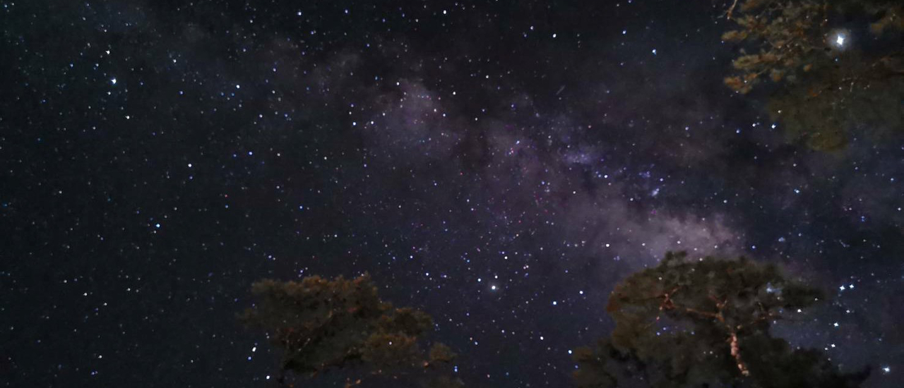 cover ภูสอยดาว 2วัน1คืน ทางช้างเผือก