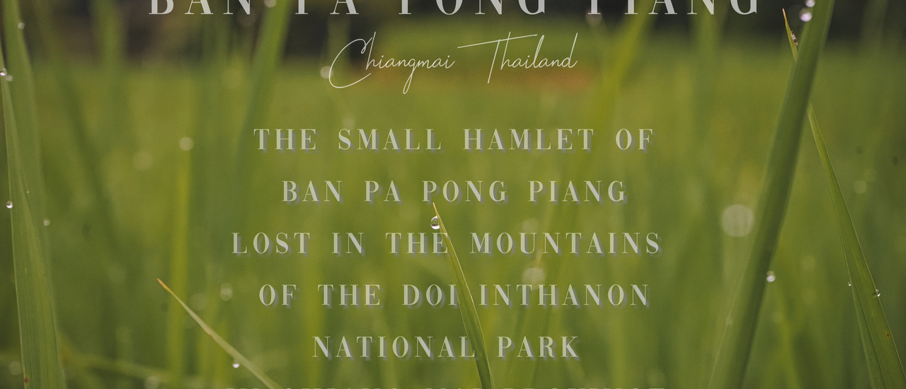 cover ไปนอนชิลล์ดูยอดข้าว และสายหมอกกันที่ นาขั้นบันได บ้านป่าบงเปียง อ.แม่แจ่ม จ.เชียงใหม่