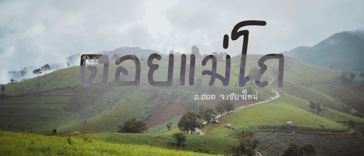 cover .:: สะวันนาเชียงใหม่ @ ดอยแม่โถ ::.