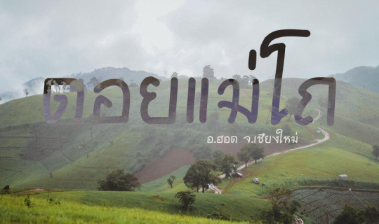 cover .:: สะวันนาเชียงใหม่ @ ดอยแม่โถ ::.