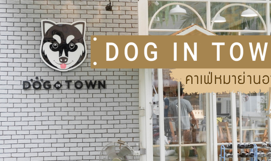 Cover บุกคาเฟ่หมา  𝑫𝒐𝒈 𝑰𝒏 𝑻𝒐𝒘𝒏 𝑨𝒓𝒊...