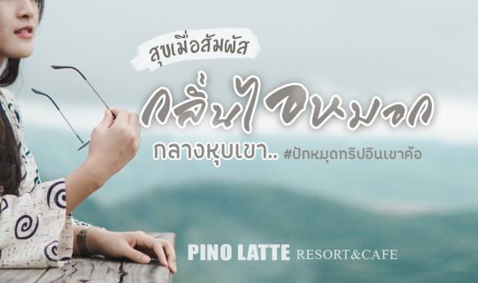 Cover ปักหมุดพาร่างมาปะทะไอหมอก นอนเขาค้อเค้าว่าอายุยืน?...