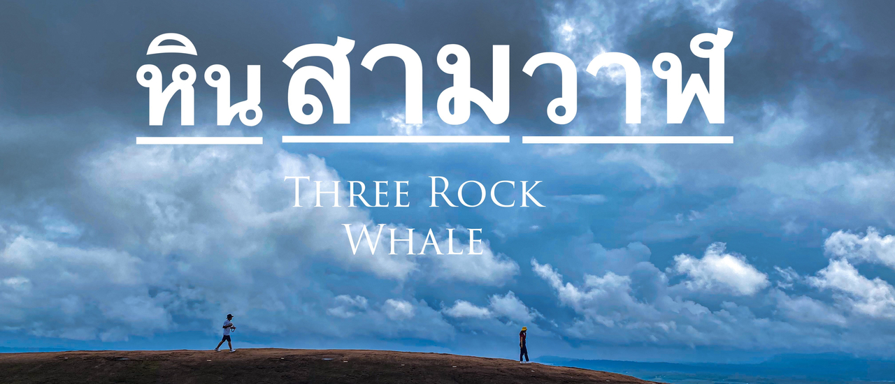 cover Three Rock Whale - วาฬเกยตื้น 3 ตัว