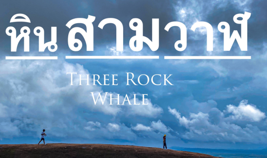 cover Three Rock Whale - วาฬเกยตื้น 3 ตัว
