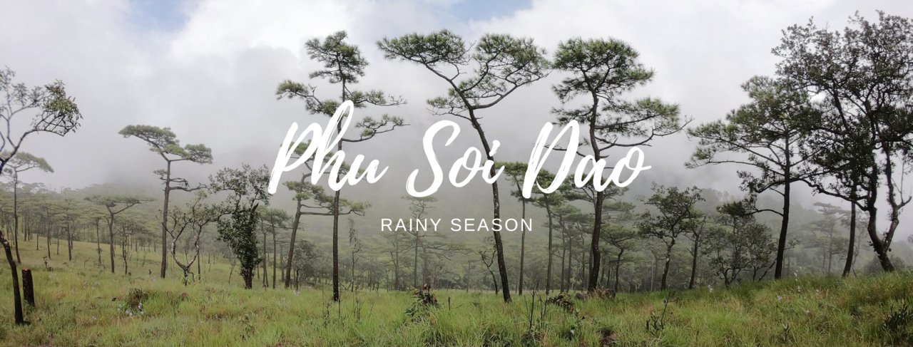 cover ได้เวลาชมดอกหงอนนาค ที่ "ภูสอยดาว" หน้าฝน กันแล้วสิ!