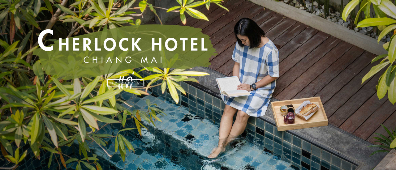 cover Cherlock Hotel โรงแรมที่พาเอาธรรมชาติกลับมาคืนให้ย่านนิมมานฯ