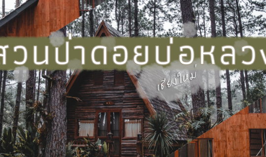 Cover .:: สวนป่าดอยบ่อหลวง @ เชียงใหม่ ::....