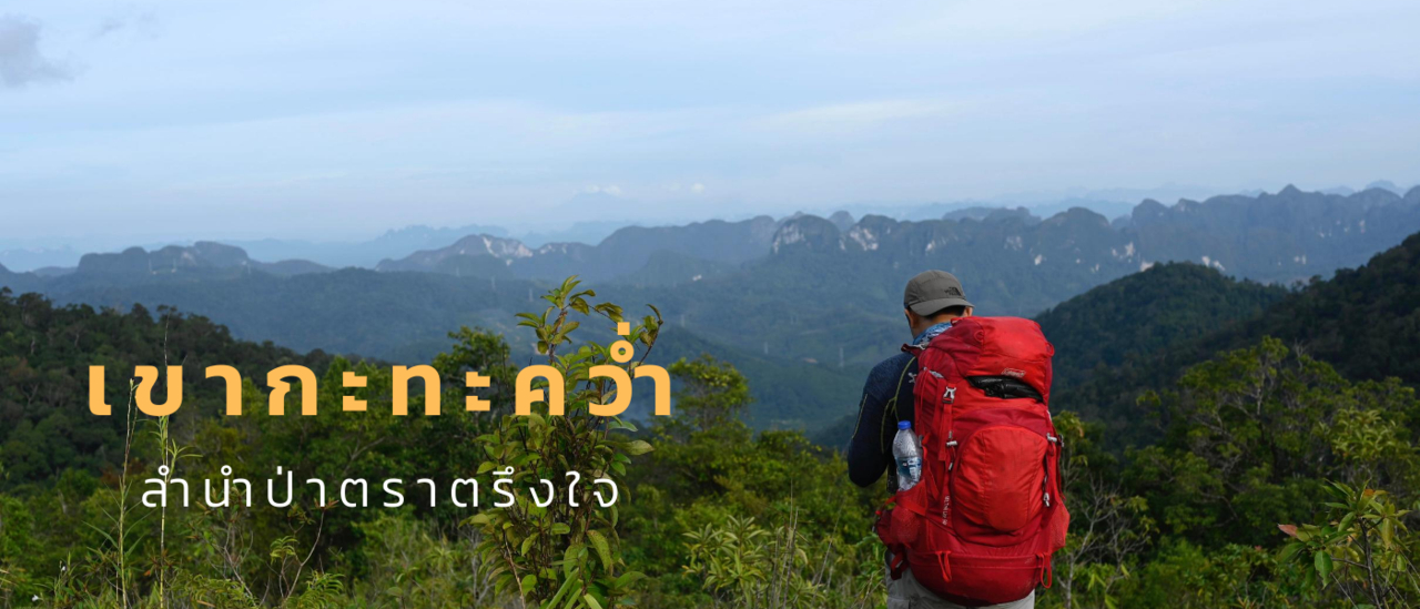 cover เขากะทะคว่ำ ลำนำป่าตราตรึงใจ