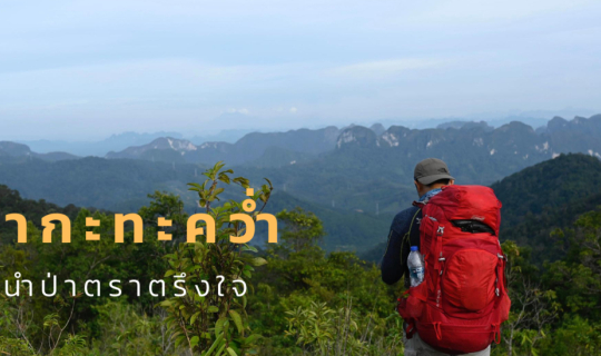 Cover เขากะทะคว่ำ ลำนำป่าตราตรึงใจ...