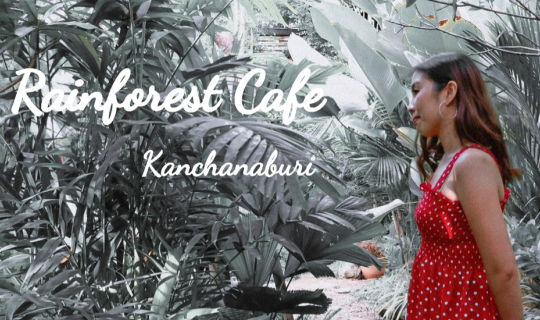 cover Rainforest คาเฟ่ป่าฝนเมืองกาญจน์