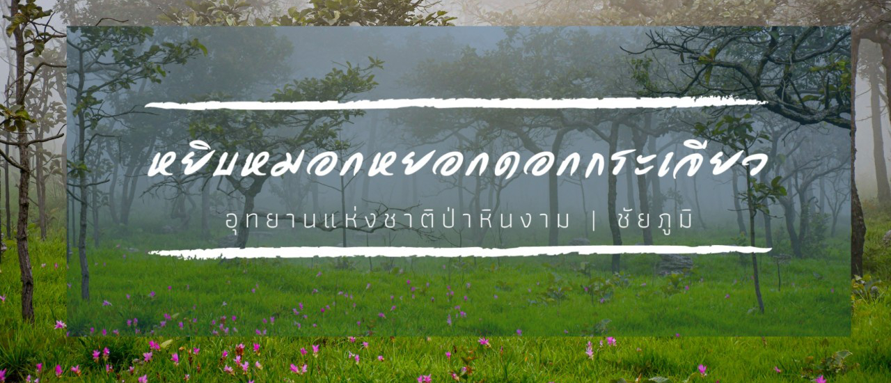 cover ชวนไปหยิบหมอก หยอกกระเจียว อุทยานแห่งชาติป่าหินงาม