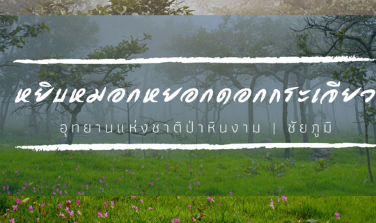 Cover ชวนไปหยิบหมอก หยอกกระเจียว อุทยานแห่งชาติป่าหินงาม...