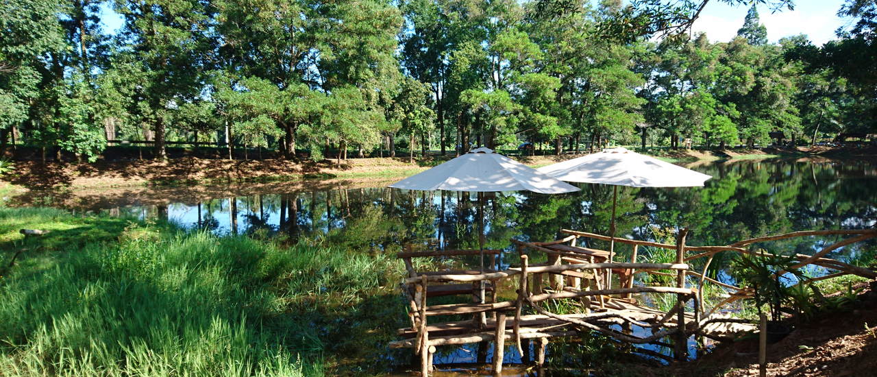 cover เดินเที่ยว ชิม ตลาดริมน้ำ บ้านขุมมุด