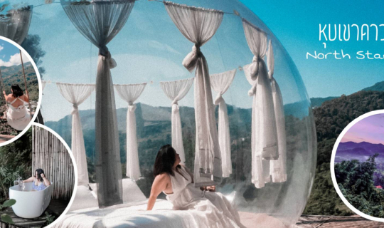 cover Glamping กลางหุบเขา | นอนดูดาว ปล่อยชีวิตผ่านไปช้าๆ ที่ North Star Valley โป่งแยง เชียงใหม่