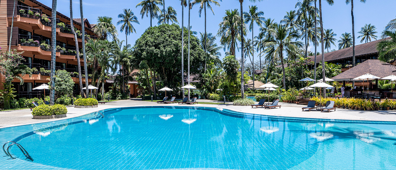 cover Patong Merlin Hotel โอเอซิสแห่งความร่มรื่น ใจกลางป่าตอง 🌿🦋🌴