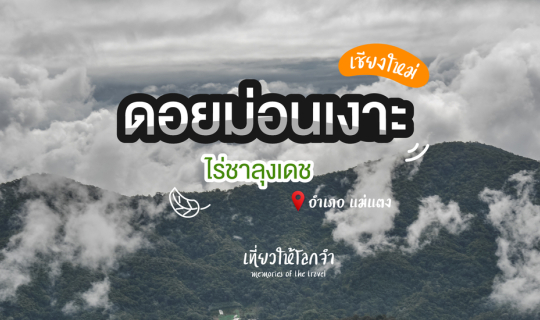 cover ดอยม่อนเงาะ - ไร่ชาลุงเดช เชียงใหม่