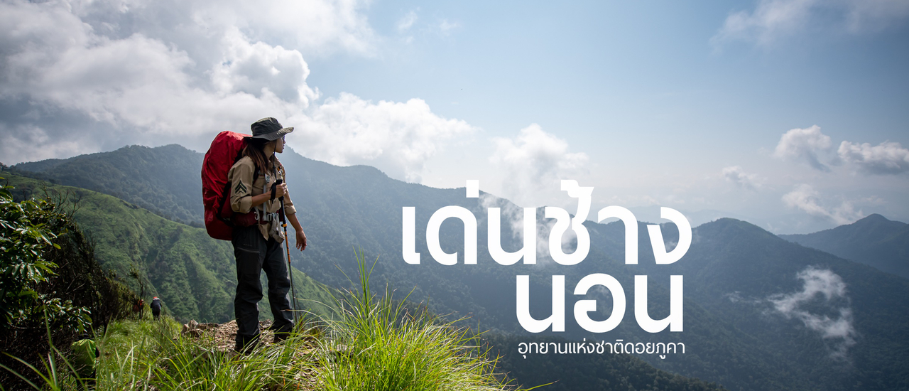 cover เด่นช้างนอน ไม่ไปไม่ได้แล้ว