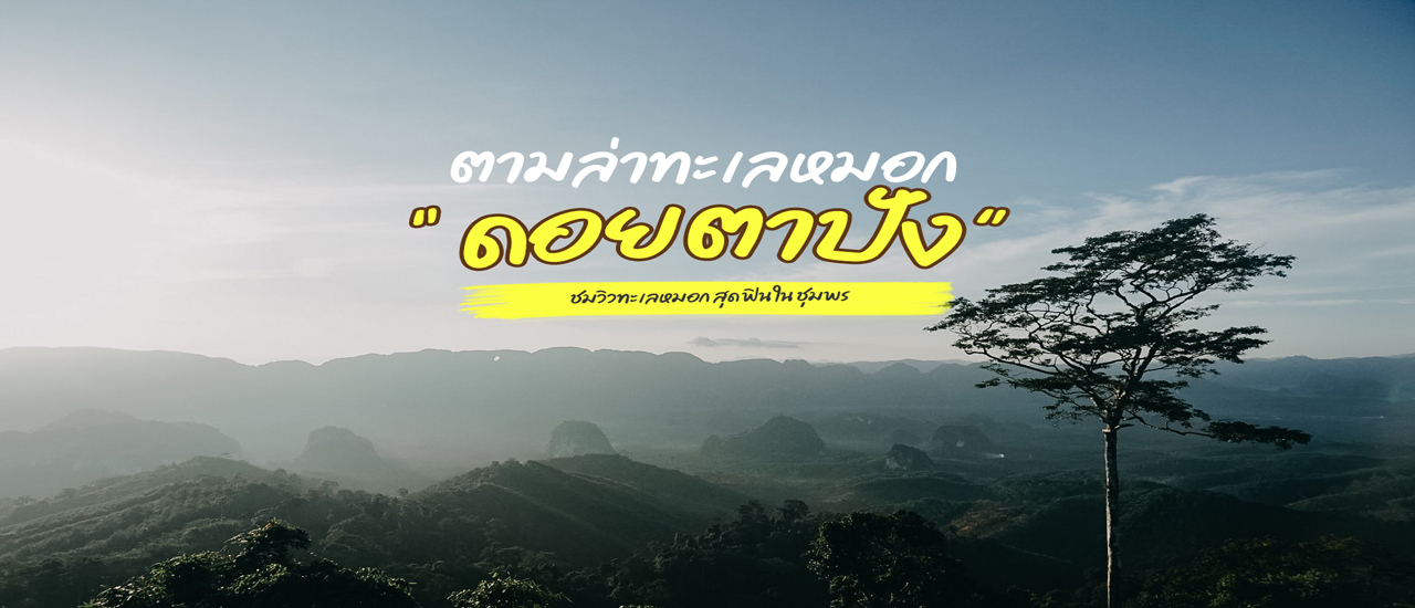 cover ตามล่าทะเลหมอก 'ดอยตาปัง'