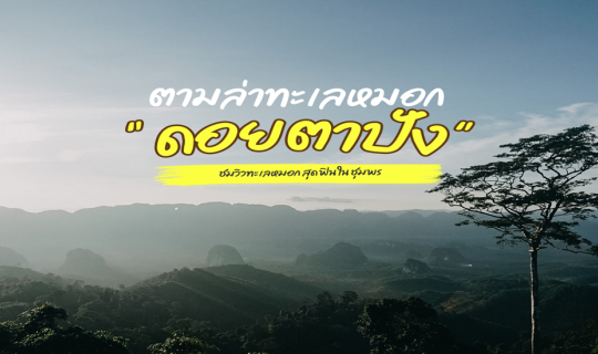 Cover ตามล่าทะเลหมอก 'ดอยตาปัง'...