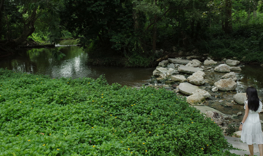 Cover แล้วจะรัก @ Hotel Labaris Khaoyai...