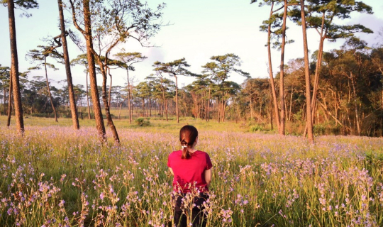 Cover ภูสอยดาว เข้าป่าหน้าฝนชมดอกหงอนนาค...