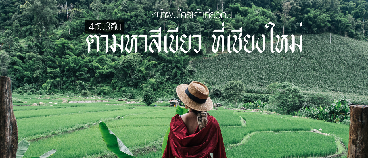 cover ตามหาสีเขียว ที่เชียงใหม่